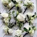 flowers_oludeniz-bwbc15