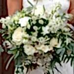 flowers_oludeniz-bwbc16