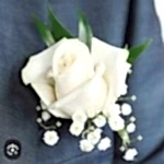 flowers_oludeniz-bwbc8